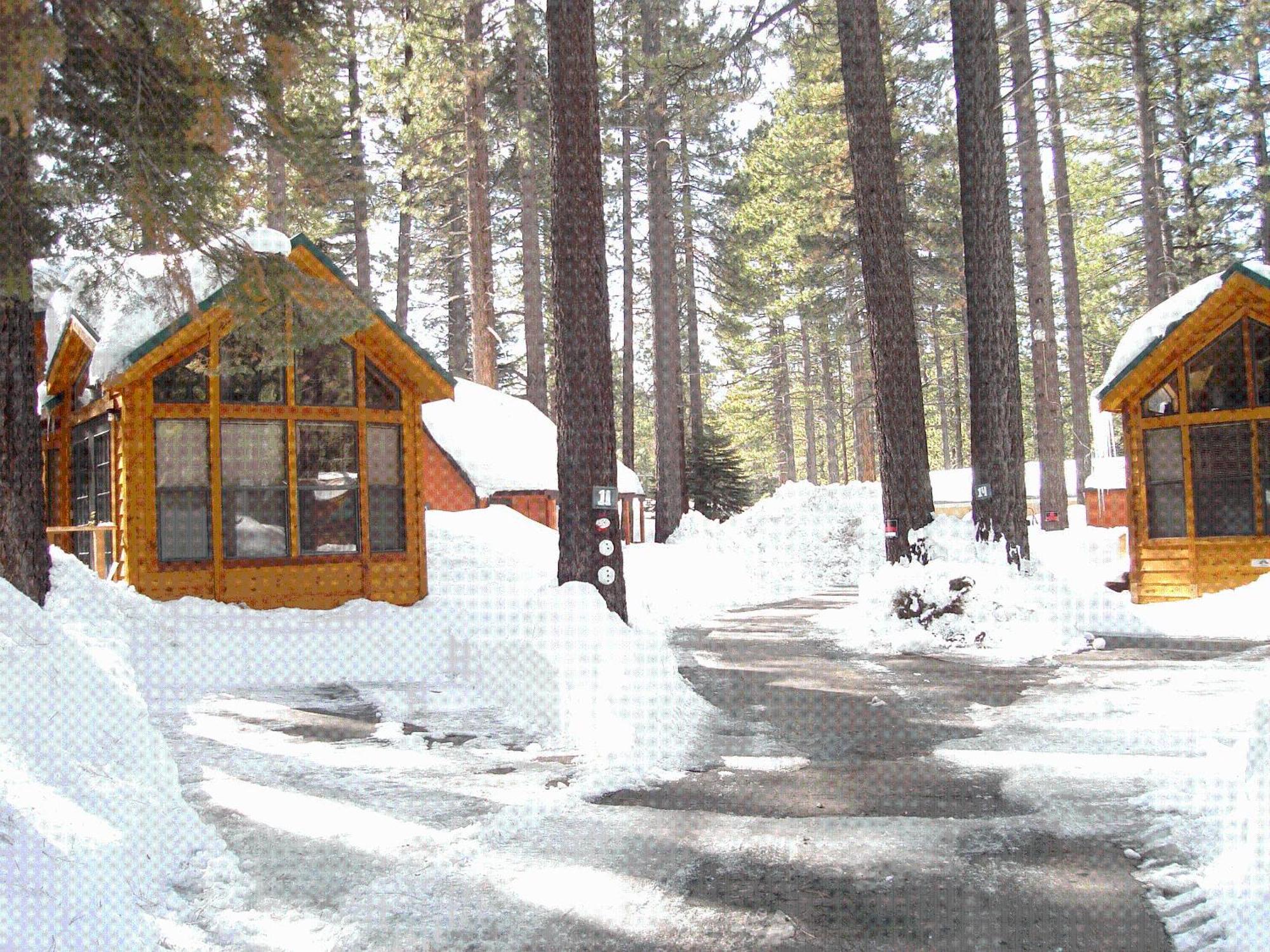 Cedar Pines Resort South Lake Tahoe Luaran gambar